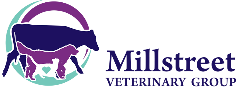 Millstreet Veterinary Group logo