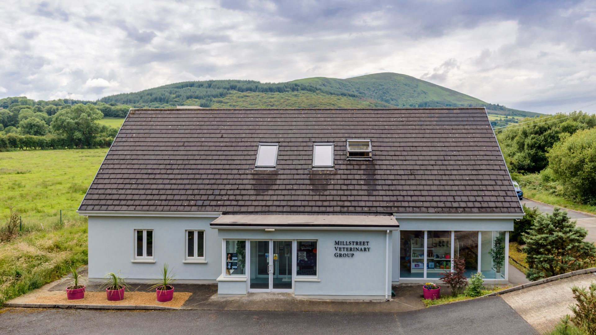 Millstreet Veterinary Group Building